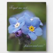 Vergeet me, niet voor altijd en nooit! fotoplaat (Voorkant)