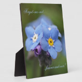 Vergeet me, niet voor altijd en nooit! fotoplaat (Zijkant)