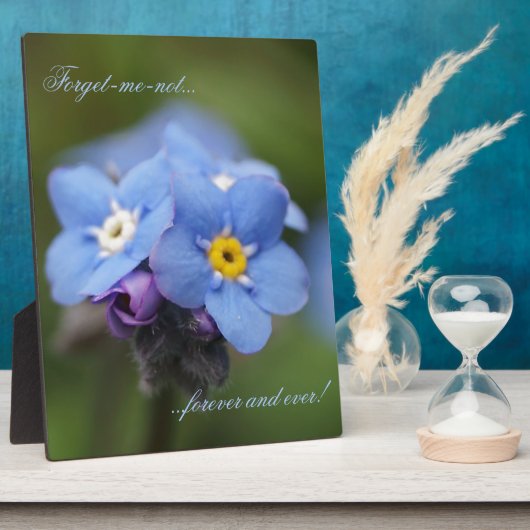 Vergeet me, niet voor altijd en nooit! fotoplaat (Zijkant)