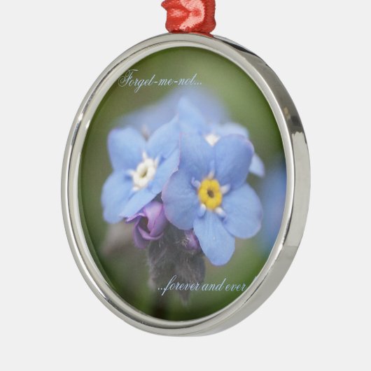 Vergeet me, niet voor altijd en nooit! metalen ornament (Links)