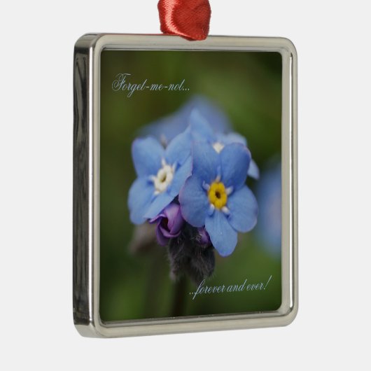 Vergeet me, niet voor altijd en nooit! metalen ornament (Rechts)