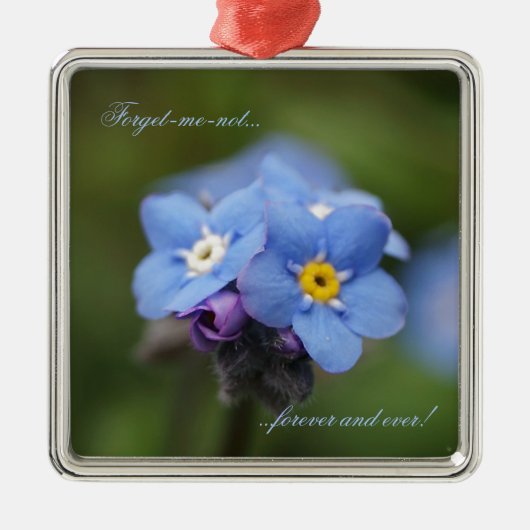 Vergeet me, niet voor altijd en nooit! metalen ornament (Voorkant)