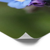 Vergeet me, niet voor altijd en nooit! poster (Hoek)