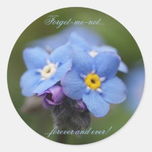 Vergeet me, niet voor altijd en nooit! ronde sticker