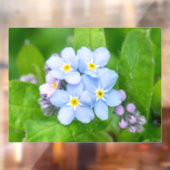 Vergeet me niet, Window Cling Raamsticker (Vel 2)