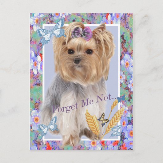 Vergeet me niet Yorkie kaarten (Voorkant)