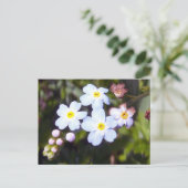 Vergeet me Nots 1 Briefkaart (Staand voorkant)
