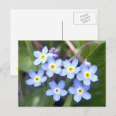 Vergeet me Nots 2 Briefkaart (Voorkant / Achterkant)