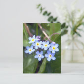 Vergeet me Nots 2 Briefkaart (Staand voorkant)