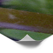 Vergeet me Nots 2 Poster (Hoek)