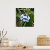 Vergeet me Nots 2 Poster (Keuken)