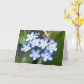 Vergeet me Nots 2 Wenskaart Kaart (Gele Bloem)