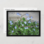 Vergeet-me-nots Briefkaart (Voorkant / Achterkant)