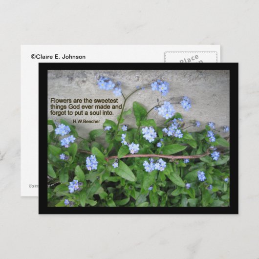 Vergeet-me-nots Briefkaart (Voorkant / Achterkant)