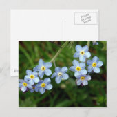 Vergeet me Nots Briefkaart (Voorkant / Achterkant)