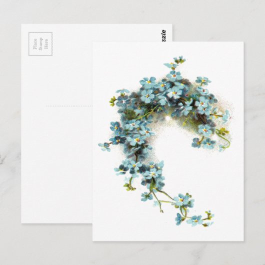  vergeet-me-Nots Briefkaart (Voorkant / Achterkant)