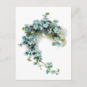  vergeet-me-Nots Briefkaart (Voorkant)