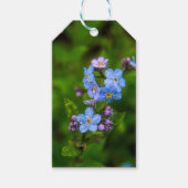 Vergeet-me-nots in de regen cadeaulabel (Voorkant)