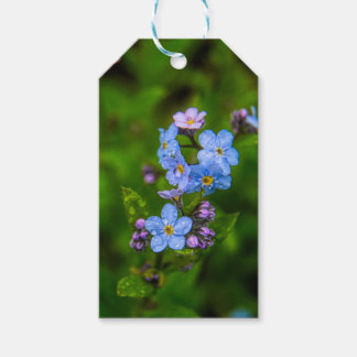 Vergeet-me-nots in de regen cadeaulabel
