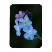 Vergeet-me-Nots Magnet Magneet (Verticaal)