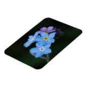 Vergeet-me-Nots Magnet Magneet (Linkerzijde)