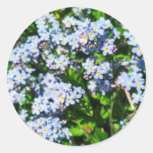 Vergeet-me-Nots Sticker (Voorkant)