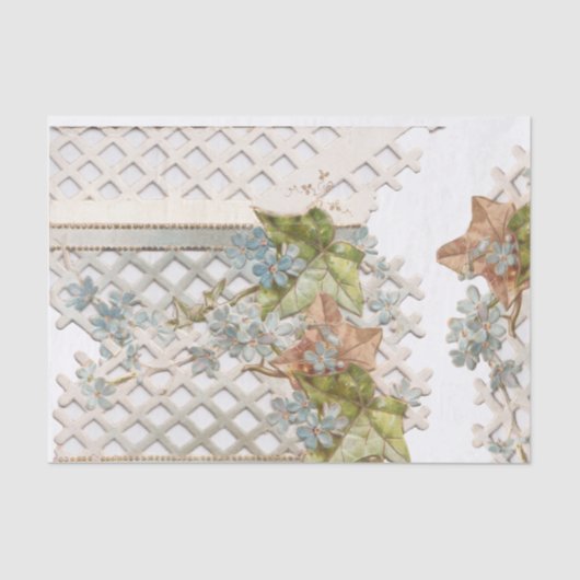  vergeet-me-Nots Tissuepapier (Voorkant)