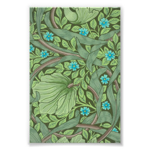 Vergeet-me-Nots, Wallpaper van William Morris Foto Afdruk