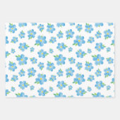 Vergeet me Waterverf ventilatorpatroon Inpakpapier Vel (Voorkant 2)