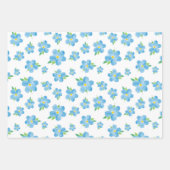 Vergeet me Waterverf ventilatorpatroon Inpakpapier Vel (Voorkant)