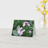 Vergeet-mij-niet-kaart Kaart (Gele Bloem)