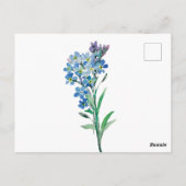 Vergeet-mij-nietje ansichtkaart briefkaart (Achterkant)