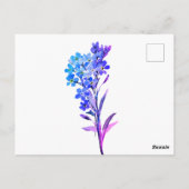 Vergeet-mij-nietje ansichtkaart briefkaart (Achterkant)