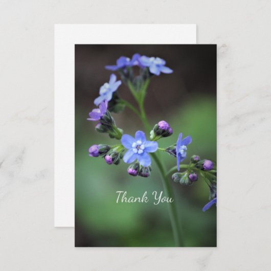 Vergeet-mij-nietje   bedankkaart (Voorkant / Achterkant)