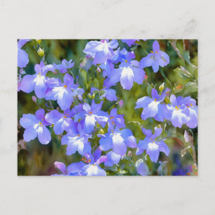 Vergeet-mij-nietje Blauwe Bloemen Ansichtkaart Briefkaart