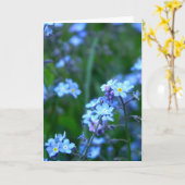 Vergeet-mij-nietje Kaart (Gele Bloem)