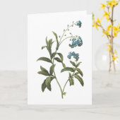 vergeet-mij-nietje (Myosotis scorpioides) door Kaart (Gele Bloem)