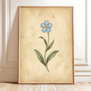 Vergeet-mij-nietje Vintage Bloemkunst Poster