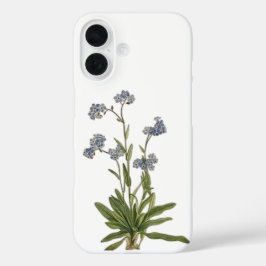 Vergeet-mij-nietje wilde bloem telefoonhoes iPhone 16 hoesje