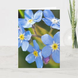 Vergeet-mij-nietjes bloemen romantisch dank je wel bedankkaart