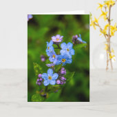 Vergeet-mij-nietjes in de Regen Kaart (Gele Bloem)