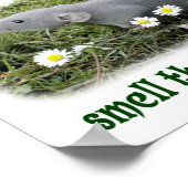 Vergeet niet de bloemen te ruiken poster (Hoek)