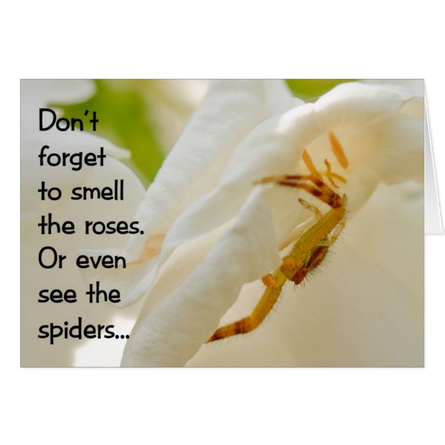 Vergeet niet de rozen te ruiken (Voorkant Horizontaal)