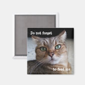 Vergeet niet om een kat te voeden magneet (Voorkant / Achterkant)