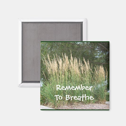 Vergeet niet om Magneet 1 te ademen (Voorkant / Achterkant)