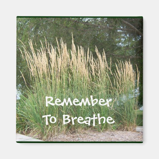 Vergeet niet om Magneet 1 te ademen (Voorkant)