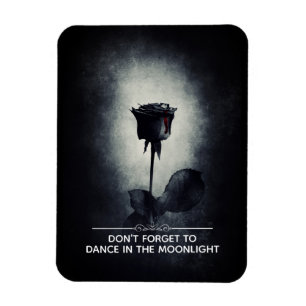 Vergeet niet om te dansen in het Moonlight Magneet