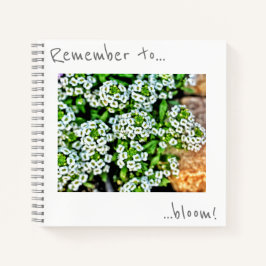 Vergeet niet te bloeien Kleine witte bloemen Notit Notitieboek