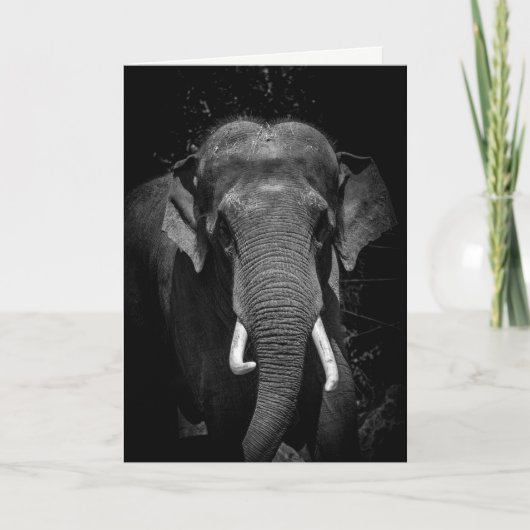 Vergeet nooit een verjaardag kaart (Voorkant)