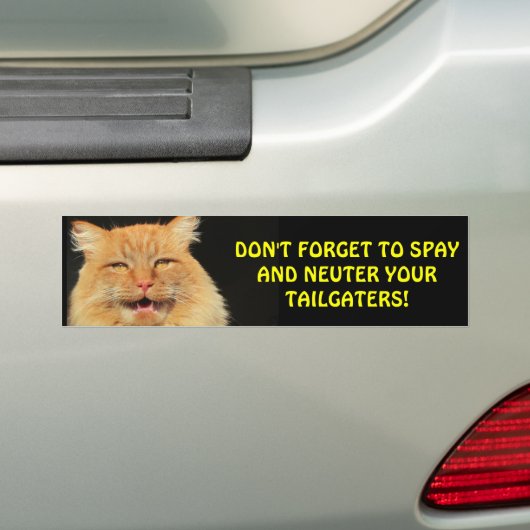 Vergeet Spay en Neuter-staarters niet Bumpersticker (Op auto)
